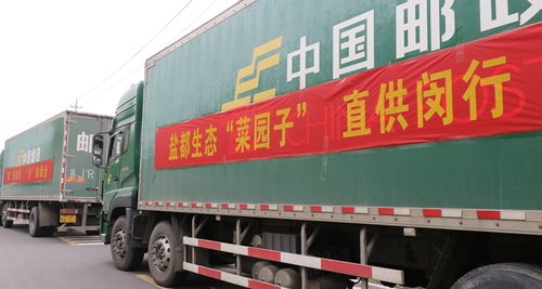 郵政業(yè)全力以赴抗擊疫情